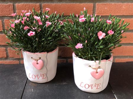 Arr (23) Kuxe Keram. Met Rose Hart