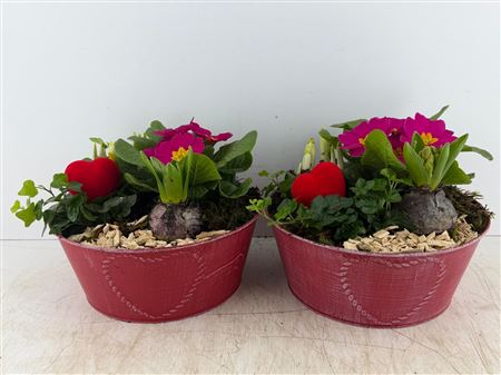 Arr (1) Zink Rood Rond Met Hart