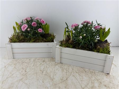 Arr (13) Houten Kist Wit Xl