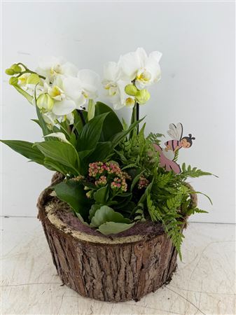 Arr (1) Hout Rond Boomschors