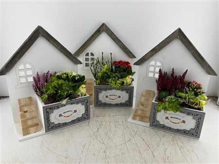 Arr (9) Flower Huis Wit