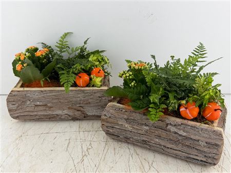 Arr (5) Hout Rechth Boomschors