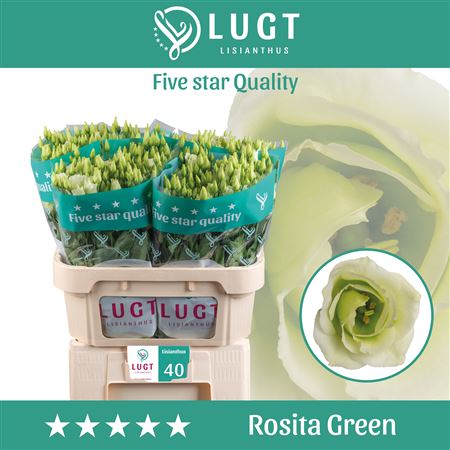 Eust G Rosita Green