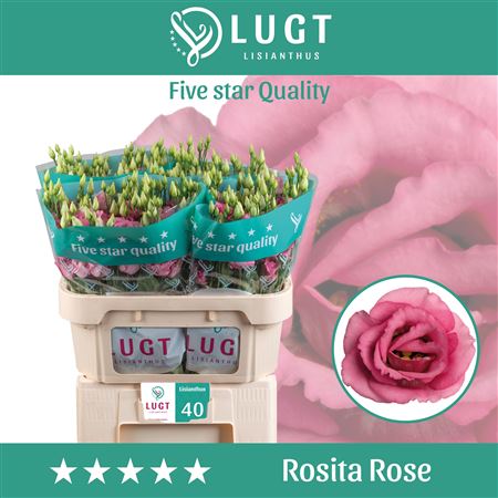 Eust G Rosita Rose P