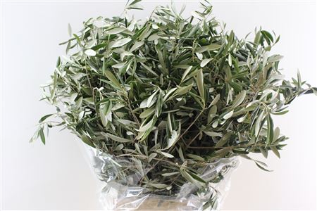 Olijf 400gr Pbs