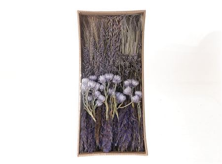 Box Stem Dried Flowers Spring Ass 350g L55