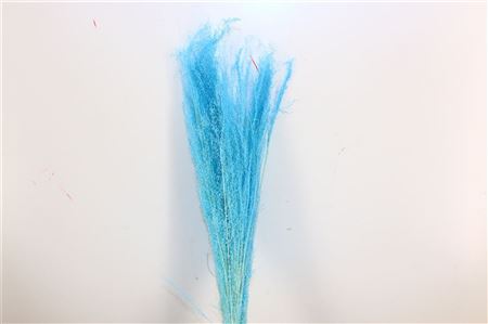 Dried Agrostis Light Blue Bunch