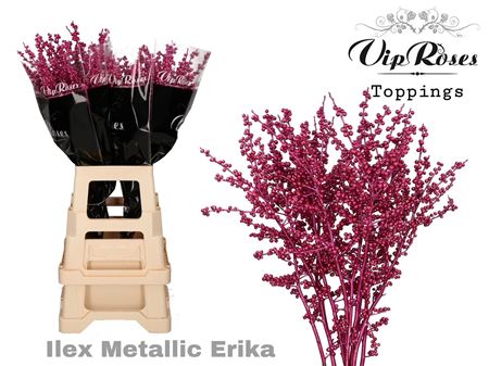 Ilex Metallic Erica 60 Cm