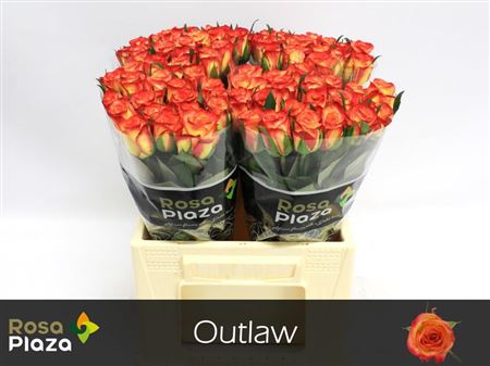 R Gr Outlaw!