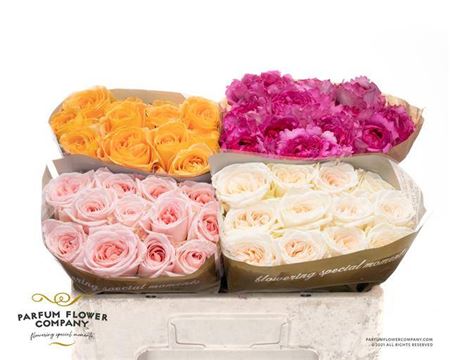 R Gr Garden Mix Parfum Rozes