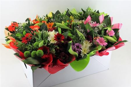 Aqua-bulle Bieder In Tas Mix