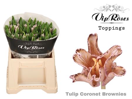 Tu Co Coronet Brownies