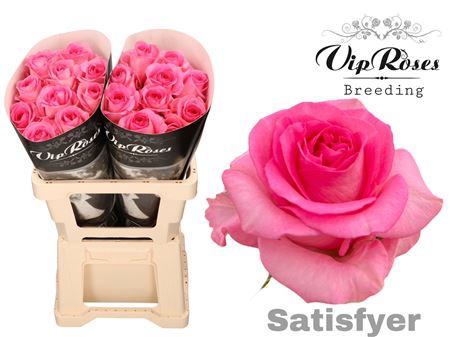 R Gr Satisfyer