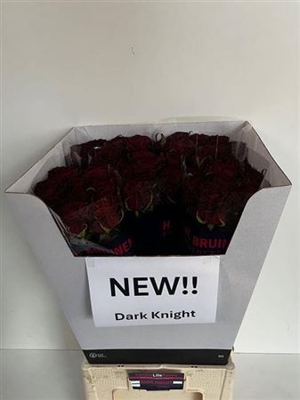R Gr Dark Knight