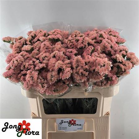 Lim S Peach Wings 52g