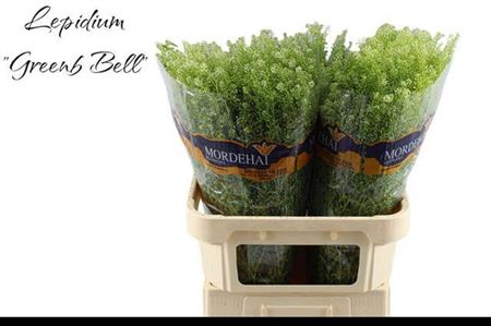 Lep Ru Green Bell