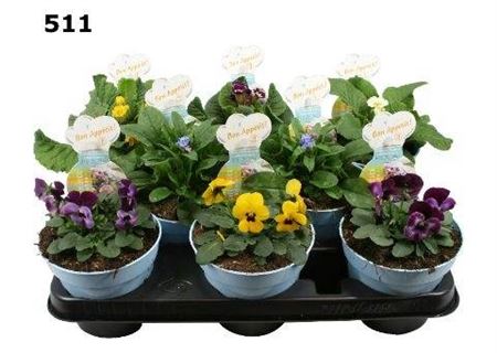 Eetbare Bloemen Zomer Mix