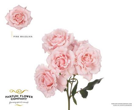 R Tr Garden Parfum Pink Majolica