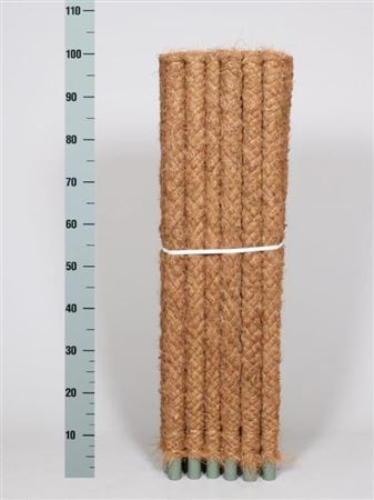 Dec Mosstok 100cm (x30)