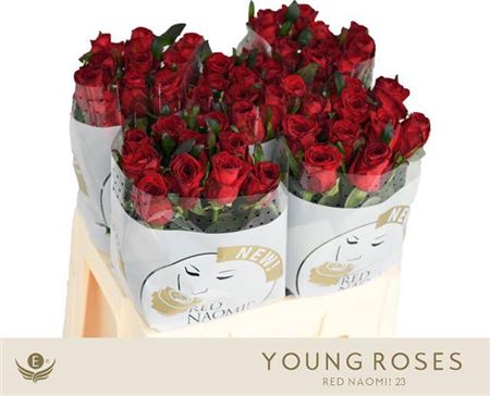 R Gr Red Naomi J Gewas X 50