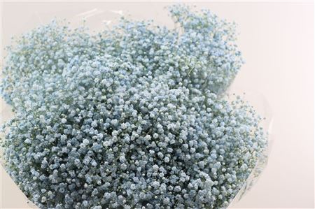 Gyps Grof Baby Blue (dip)