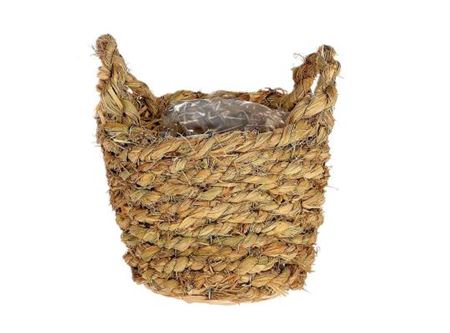 Basket Grass H19d22