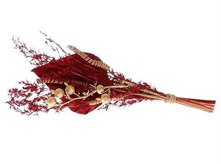 Bouquet Alpha Grass Palm Spring L30