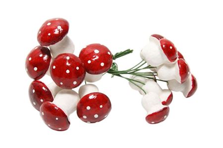 Hobby Mushroom 17pc