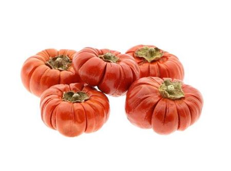 Hobby Pumpkin 5 Pcs