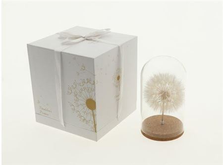 Bell Jar Dandelion Gift H22d12