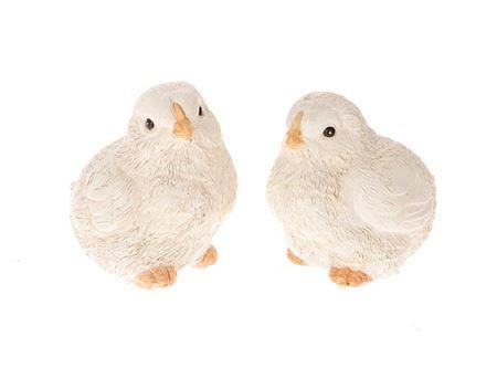 Bird Elgin 2 Ass. L4.5w5.5h6.5