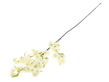 Stem Blossom L105