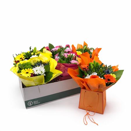 Aqua-bulle Bieder In Tas Mix