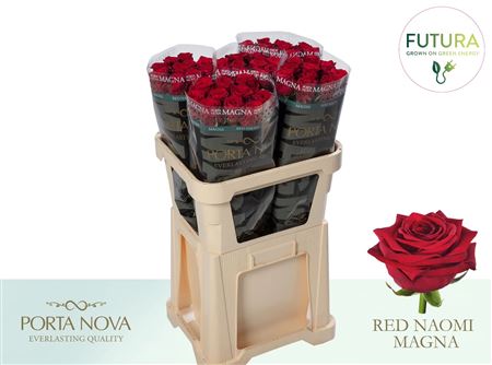 R Gr Red Naomi Magna - Futura
