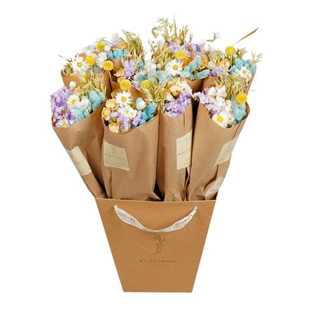 Droogbloemen-market More 50cm - Pas