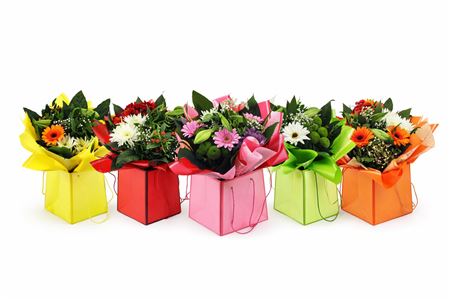 Aqua-bulle Bieder In Tas Mix