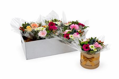 Aqua-bulle Hoedendoos Mix