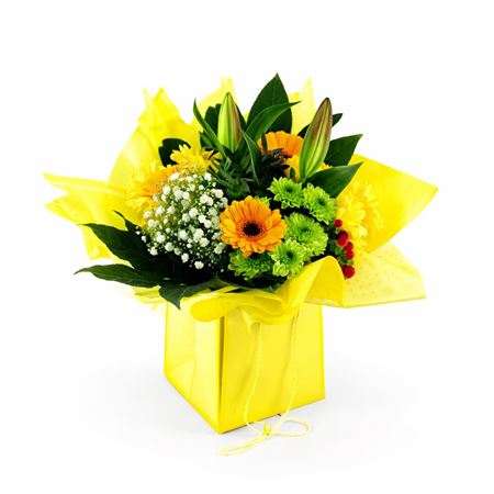 Aqua-bulle Bieder In Tas Geel