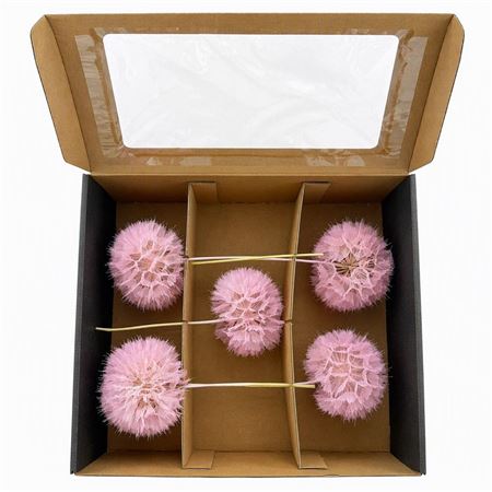 Pres Puste Flower Pink X5 Display Doos