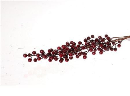 Branch Berry L71