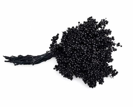 Schinus M Pt Black Bunch