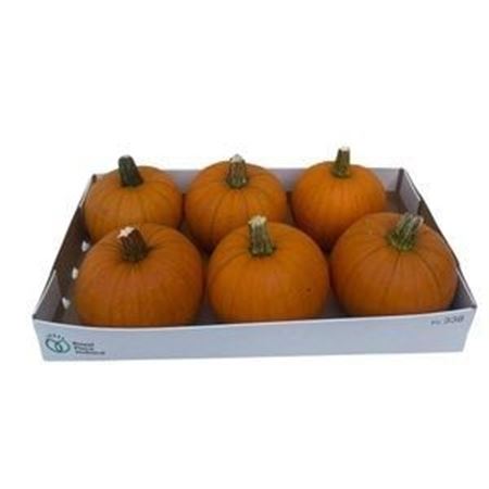 Sierfruit Baby Pan