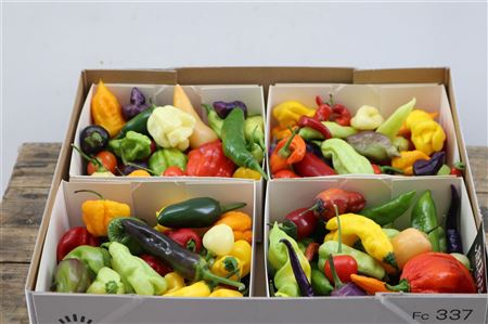 Sier Cuc Aubergine Capsicum Mix X4