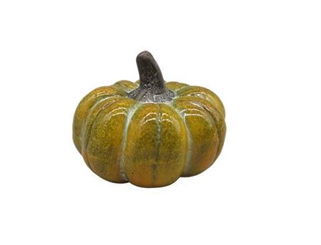 Pumpkin Patch H7.3d9.5