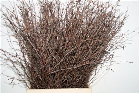 Berk 60cm Naturel Pbs
