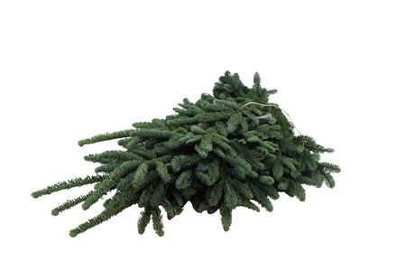 Nobilis Witband 5kg