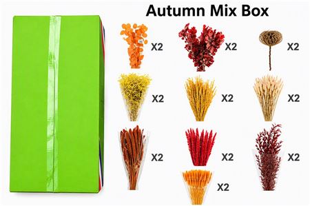 Autumn Mix Box