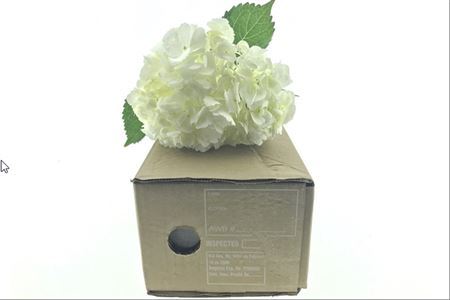 Hydr Eq ( Box ) White